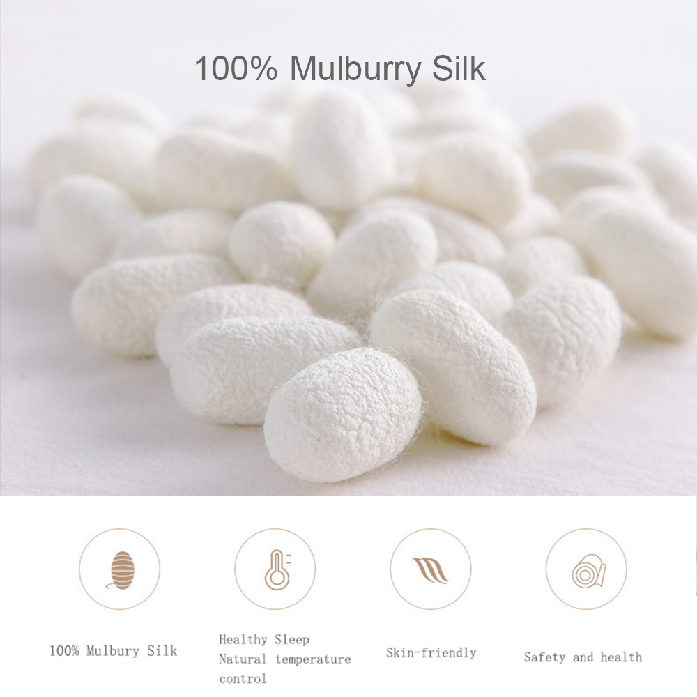 Liv-Esthete 100% Silk Duvet Co - đánh giá và giá Skincare Queen